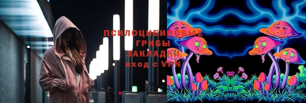 твердый Балахна