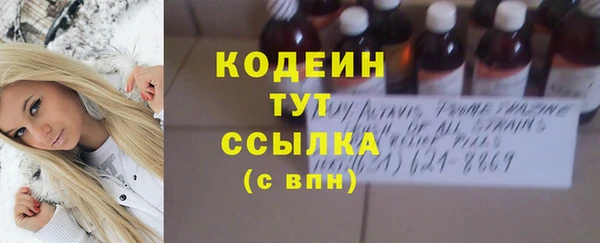 шишки Белоозёрский