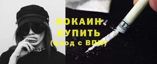 шишки Белоозёрский