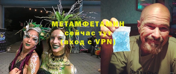шишки Белоозёрский
