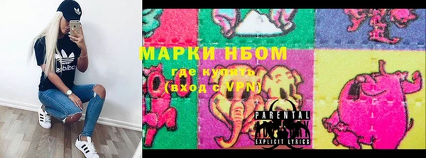 прущие грибы Баксан