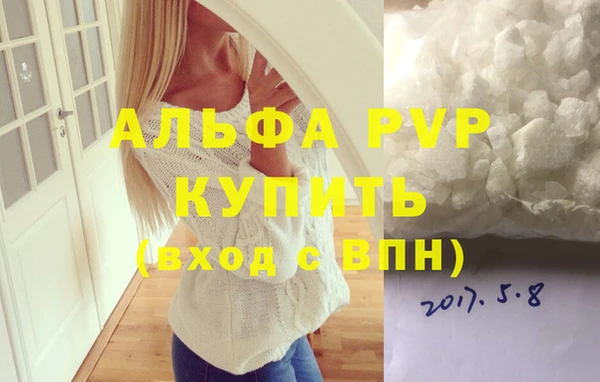 шишки Белоозёрский