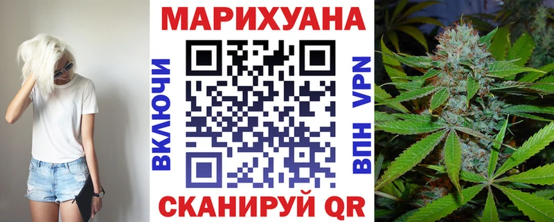 Конопля сатива  где найти   Верхняя Тура 
